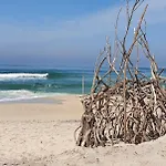 The Palm House