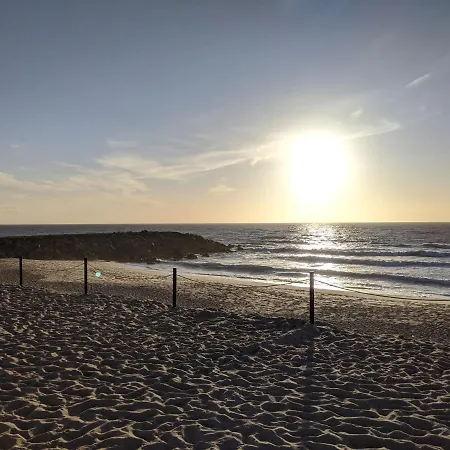 Hébergement de vacances The Palm House