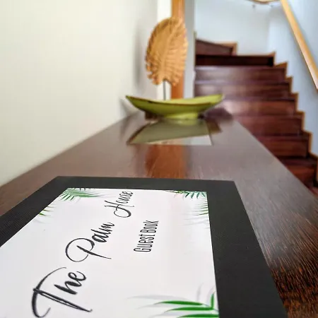 The Palm House * Ovar