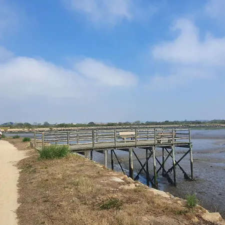 The Palm House Hébergement de vacances