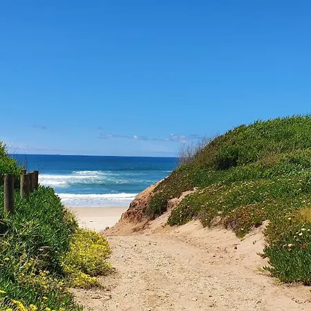 Hébergement de vacances The Palm House *