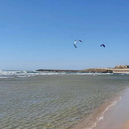 The Palm House * Ovar