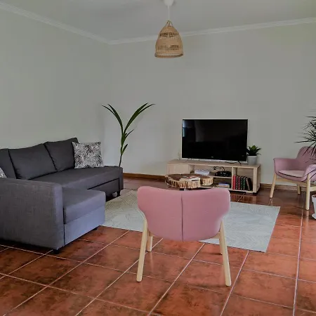 The Palm House * Ovar