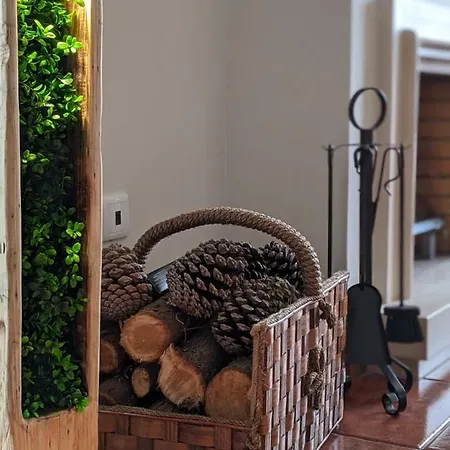 Hébergement de vacances The Palm House *