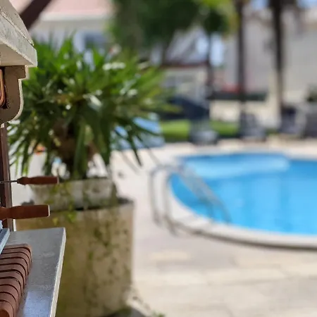 The Palm House * Ovar