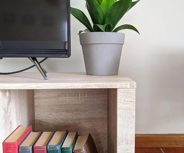 The Palm House 오바