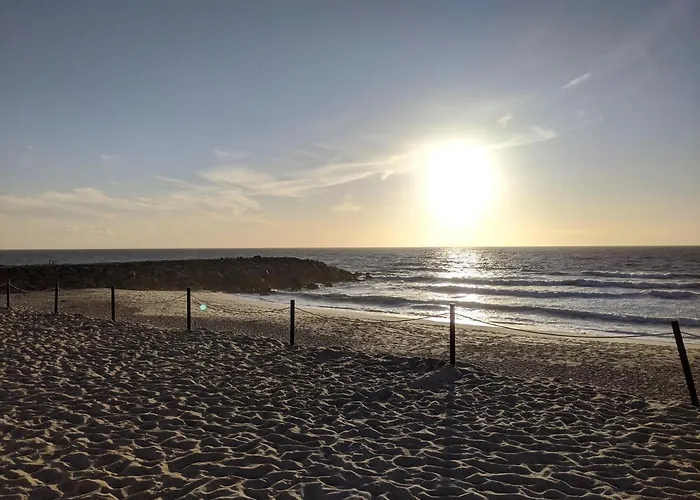 Nyaraló The Palm House