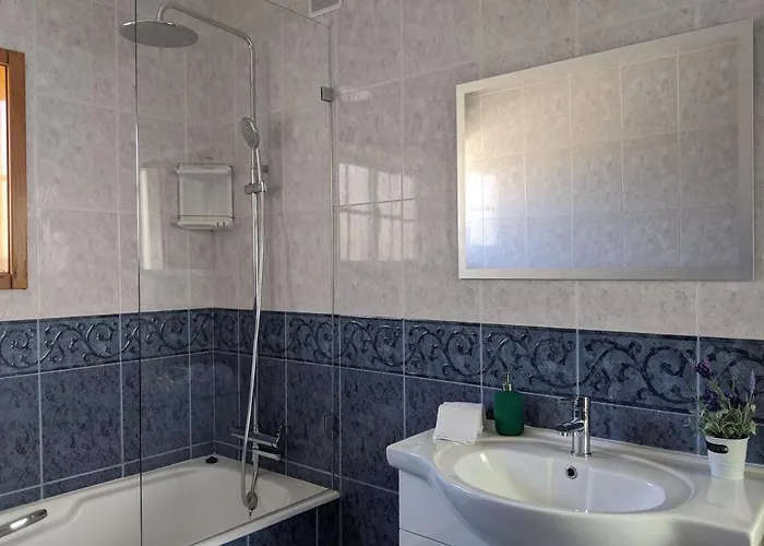 The Palm House * 오바