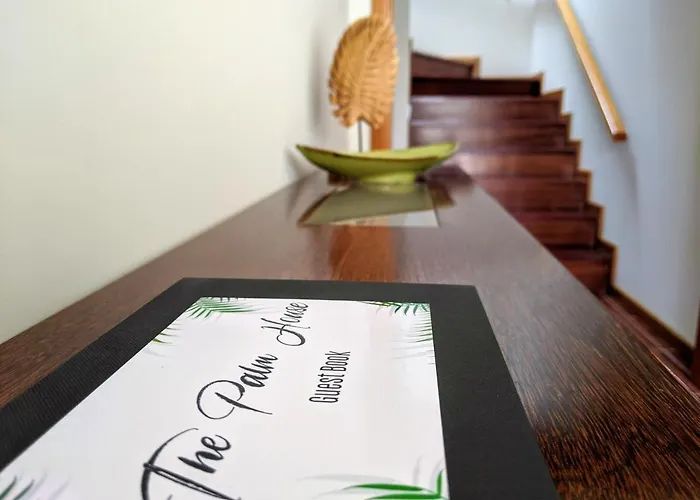 The Palm House * 오바