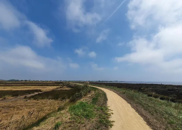 The Palm House 오바
