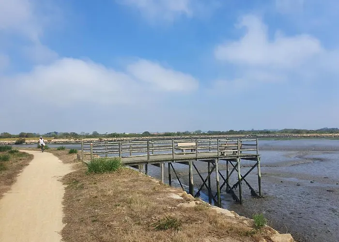 The Palm House 펜션