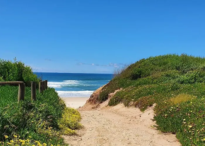 펜션 The Palm House *