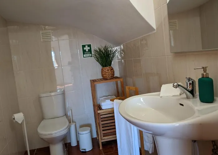 The Palm House 펜션