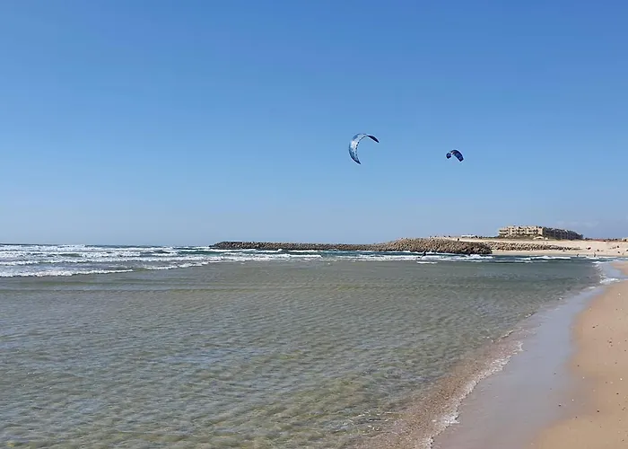 The Palm House * Ovar