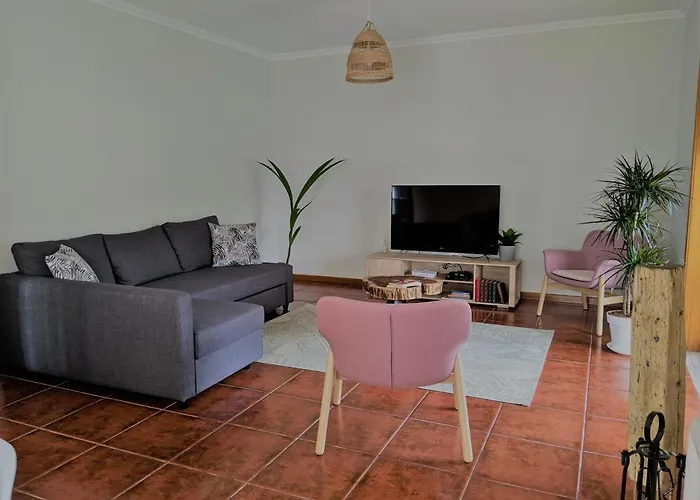 The Palm House * Ovar