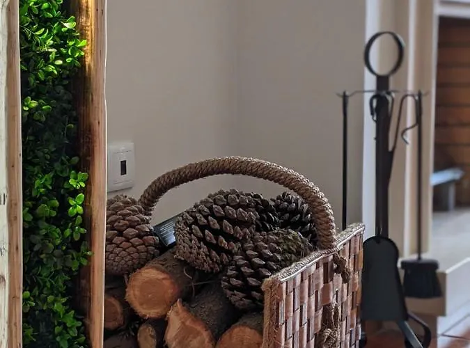 펜션 The Palm House *