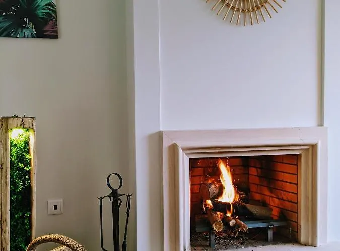 The Palm House 펜션 오바