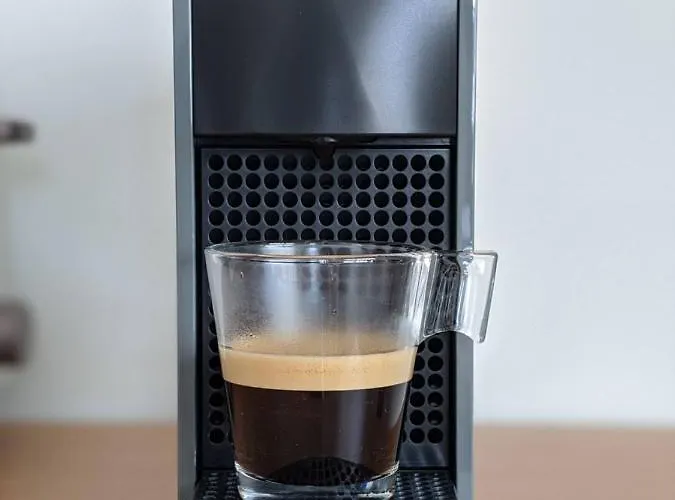 Nyaraló The Palm House