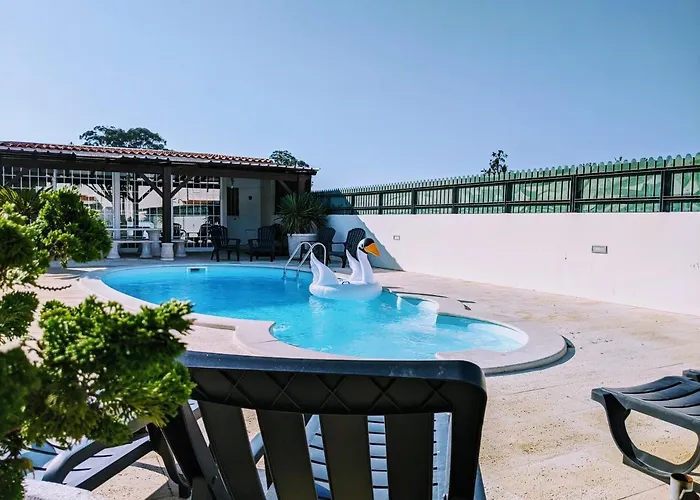 The Palm House 오바